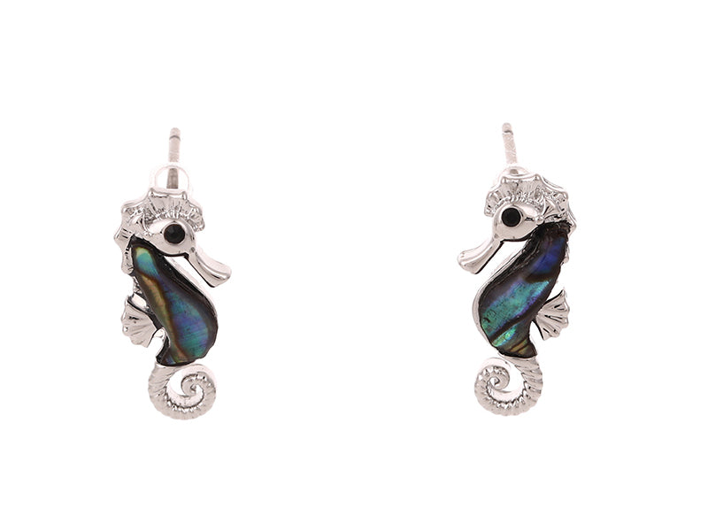 Boxed paua sea-horse rhodium studs