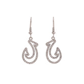 Boxed rhinestone fish-hook rhodium earrings
