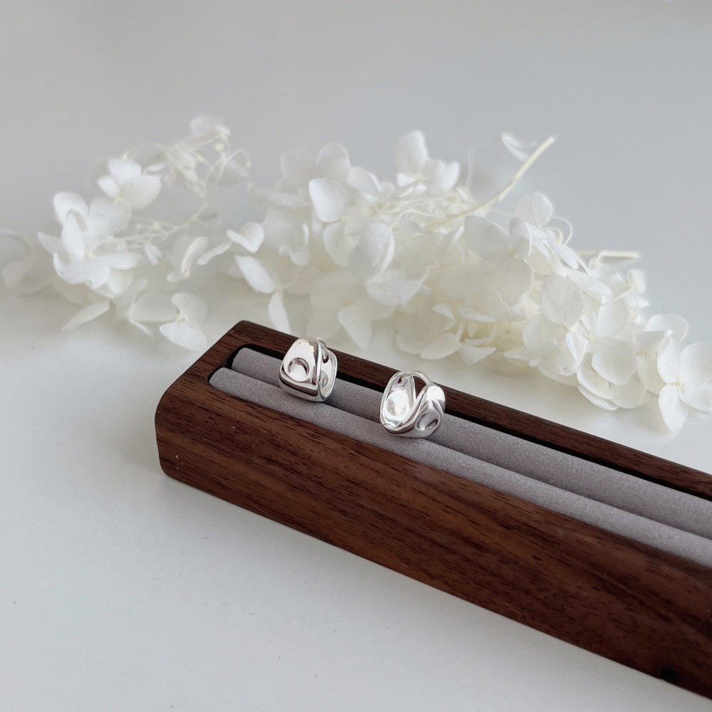 925 Silver Earrings