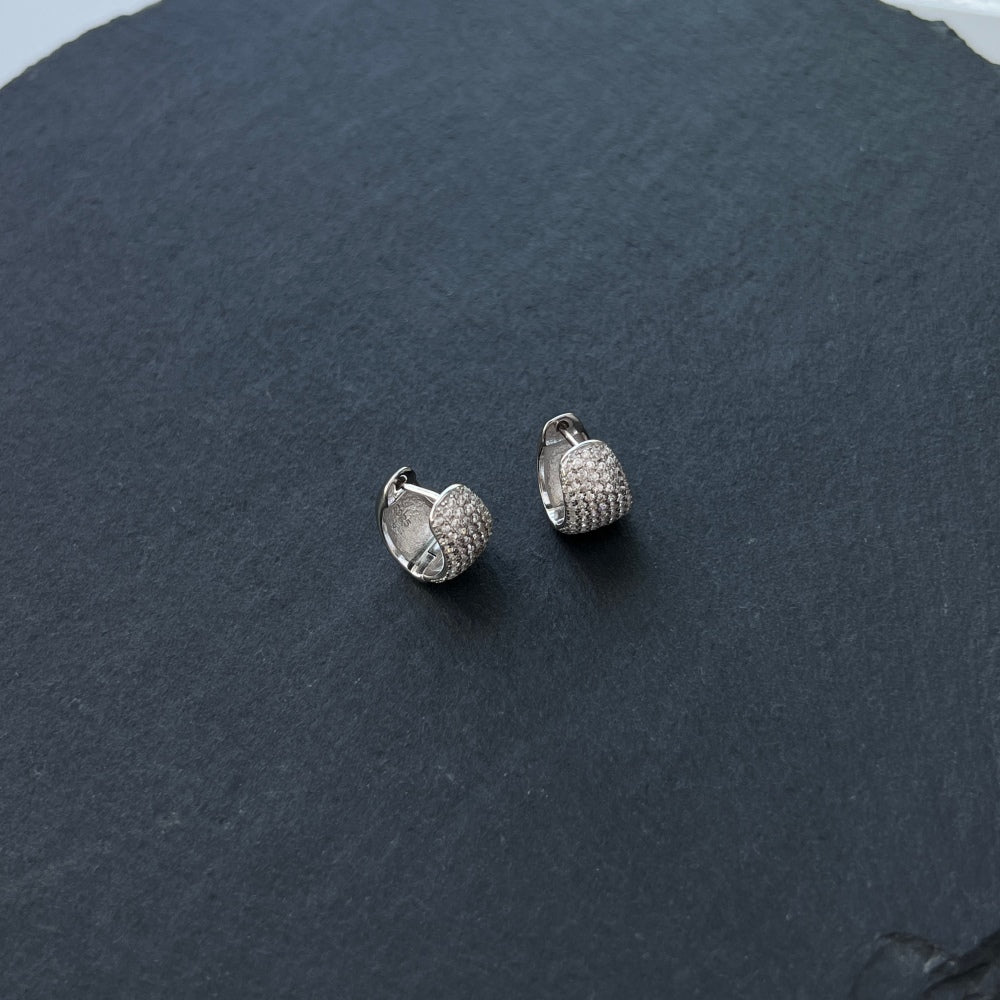 925 Silver Earrings