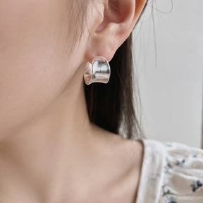 925 Silver Earrings